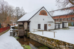 Skansen Vesely Kopec. Karnawał Masopust / Stanisław Blinstrub / Radio Kielce