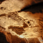 Piekło Čertovina / Stanisław Blinstrub / Radio Kielce