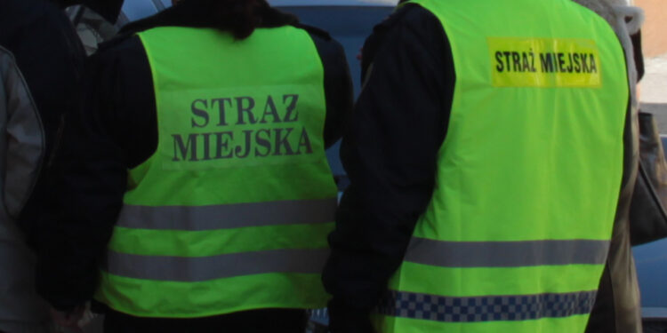 Straż Miejska / Piotr Michalski / Radio Kielce