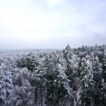 Radiowo-Telewizyjne Centrum Nadawcze Święty Krzyż / Wiktor Dziarmaga / Radio Kielce