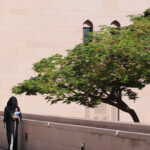 Muzyczne Podróże Przez Świat. Oman / Krzysztof Zając