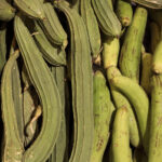 Muzyczne Podróże Przez Świat. Oman / Krzysztof Zając