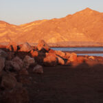 Muzyczne Podróże Przez Świat. Oman / Krzysztof Zając