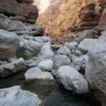 Muzyczne Podróże Przez Świat. Oman / Krzysztof Zając