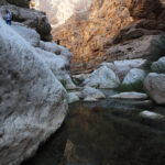 Muzyczne Podróże Przez Świat. Oman / Krzysztof Zając