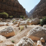 Muzyczne Podróże Przez Świat. Oman / Krzysztof Zając