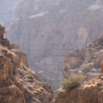 Muzyczne Podróże Przez Świat. Oman / Krzysztof Zając