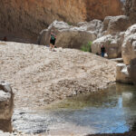 Muzyczne Podróże Przez Świat. Oman / Krzysztof Zając