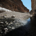 Muzyczne Podróże Przez Świat. Oman / Krzysztof Zając