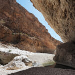 Muzyczne Podróże Przez Świat. Oman / Krzysztof Zając