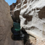 Muzyczne Podróże Przez Świat. Oman / Krzysztof Zając