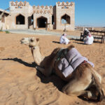 Muzyczne Podróże Przez Świat. Oman / Krzysztof Zając