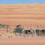 Muzyczne Podróże Przez Świat. Oman / Krzysztof Zając