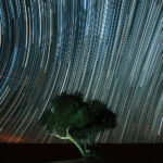 Muzyczne Podróże Przez Świat. Oman / Krzysztof Zając