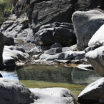 Muzyczne Podróże Przez Świat. Oman / Krzysztof Zając