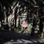 Muzyczne Podróże Przez Świat. Oman / Krzysztof Zając