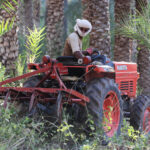 Muzyczne Podróże Przez Świat. Oman / Krzysztof Zając