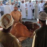 Muzyczne Podróże Przez Świat. Oman / Krzysztof Zając