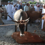 Muzyczne Podróże Przez Świat. Oman / Krzysztof Zając