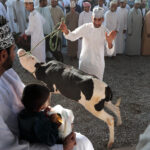 Muzyczne Podróże Przez Świat. Oman / Krzysztof Zając