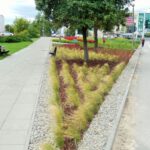 Kielce. Koncepcje skwerów. Dolina Silnicy / Urząd Miasta Kielce