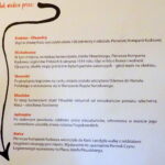 Korowód Niepodległości / Anna Głąb / Radio Kielce