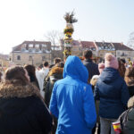 Niedziela palmowa w Sandomierzu / Grażyna Szlęzak-Wójcik / Radio Kielce