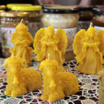 Forum Aktywnych Kobiet Ziemi Koneckiej w Świętokrzyskim Ośrodku Doradztwa Rolniczego w Modliszewicach - kiermasz naturalnych produktów żywnościowych / Krzysztof Bujnowicz / Radio Kielce