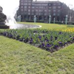 Spacer po Mannheim / Krzysztof Bujnowicz / Radio Kielce