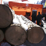 Targi Las Expo / Jarosław Kubalski / Radio Kielce