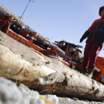 Targi Las Expo / Jarosław Kubalski / Radio Kielce