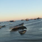 Muzyczne Podróże Przez Świat. Mauretania / dr hab. Małgorzata Anna Jóźwiak / prof. dr hab. Marek Jóźwiak