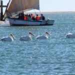 Muzyczne Podróże Przez Świat. Mauretania / dr hab. Małgorzata Anna Jóźwiak / prof. dr hab. Marek Jóźwiak
