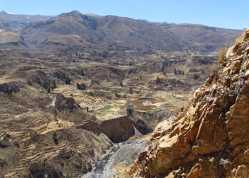 Kanion Colca w Peru / archiwum prywatne