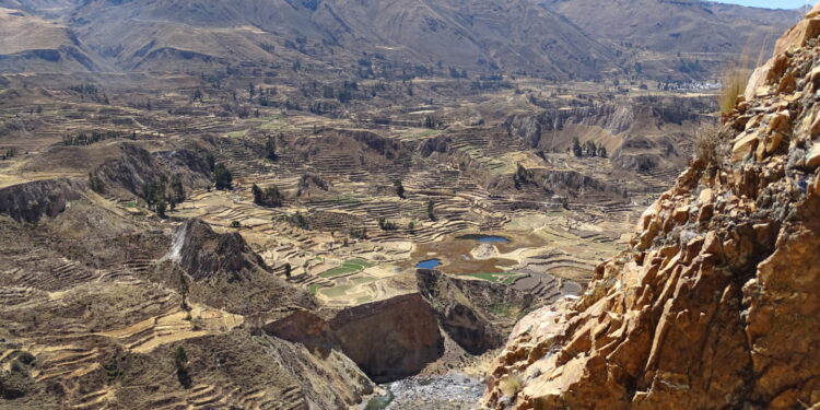 Kanion Colca w Peru / archiwum prywatne