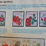 Filateliści w Wojewódzkim Domu Kultury. Wystawa filatelistyczna : "Kwiaty są radością, poczuj ją" / Marzena Mąkosa / Radio Kielce