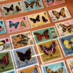 Filateliści w Wojewódzkim Domu Kultury. / Marzena Mąkosa / Radio Kielce