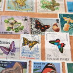 Filateliści w Wojewódzkim Domu Kultury. / Marzena Mąkosa / Radio Kielce