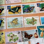 Filateliści w Wojewódzkim Domu Kultury. / Marzena Mąkosa / Radio Kielce