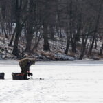Wędkarze nad Zalewem Cedzyna / Marzena Mąkosa / Radio Kielce