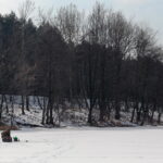 Wędkarze nad Zalewem Cedzyna / Marzena Mąkosa / Radio Kielce