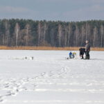 Wędkarze nad Zalewem Cedzyna / Marzena Mąkosa / Radio Kielce