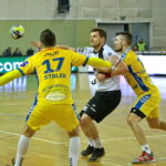 Mecz PGE VIVE Kielce - Wybrzeże Gdańsk / Marzena Mąkosa / Radio Kielce