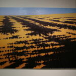 Wernisaż wystaw w BWA. ANTY - PORTRET Antoniego Starowieyskiego / Marzena Mąkosa / Radio Kielce