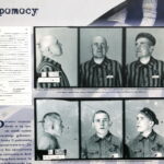 Dwie nowe wystawy IPN - Polacy ratujący Żydów i Marzec 68. / Marzena Mąkosa / Radio Kielce