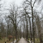 Park Miejski im. Stanisława Staszica w Kielcach / Marzena Mąkosa / Radio Kielce