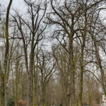 Park Miejski im. Stanisława Staszica w Kielcach / Marzena Mąkosa / Radio Kielce