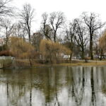 Park Miejski im. Stanisława Staszica w Kielcach / Marzena Mąkosa / Radio Kielce