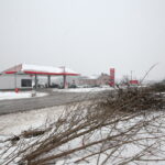 Budowa obwodnicy Sukowa i Daleszyc. Wycinka drzew na terenie, przez który będzie przebiegała droga / Marzena Mąkosa / Radio Kielce