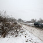 Budowa obwodnicy Sukowa i Daleszyc. Wycinka drzew na terenie, przez który będzie przebiegała droga / Marzena Mąkosa / Radio Kielce